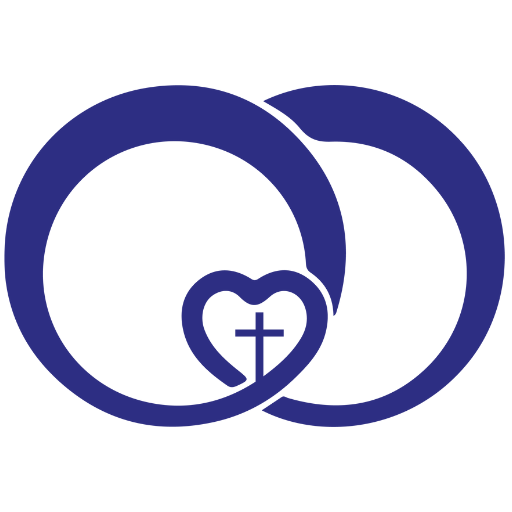 Devin Power Logo